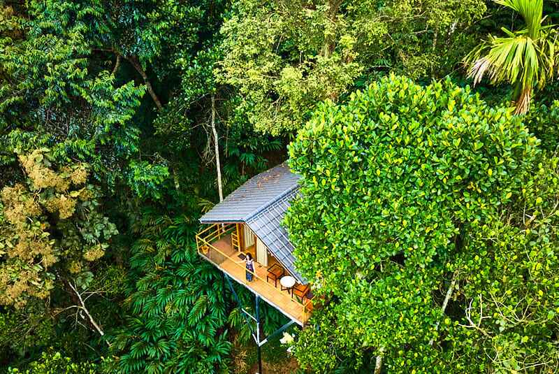 Eterno resort nestled in lush greenery